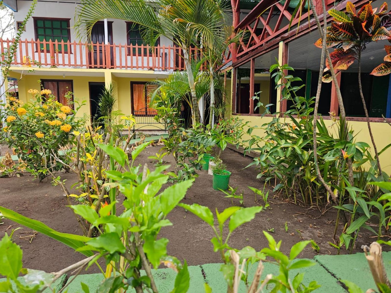 Cabinas Miss Miriam 2 Tortuguero Ngoại thất bức ảnh